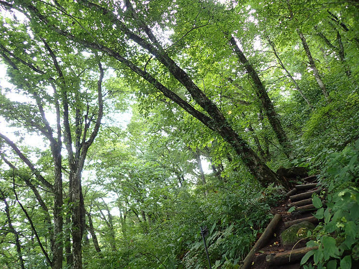 9月12日の三瓶山①_f0214649_20034570.jpg