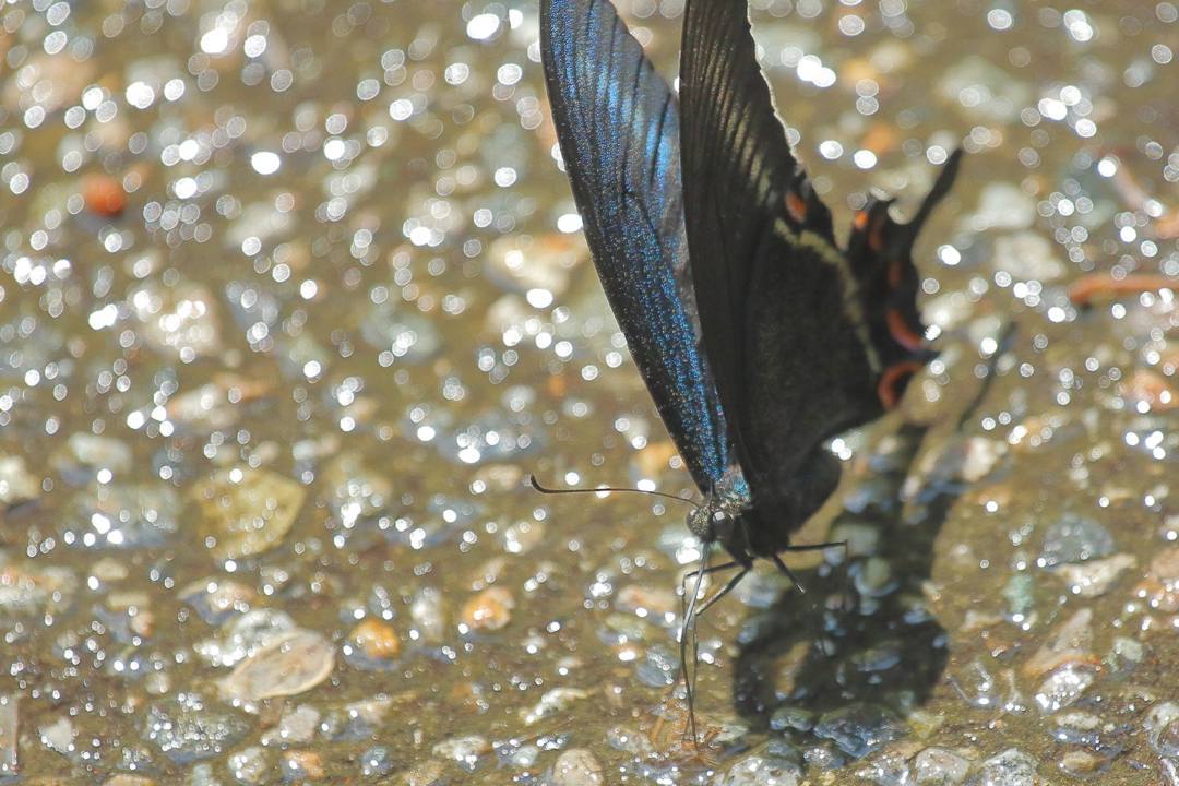 e0403850_14082855.jpg