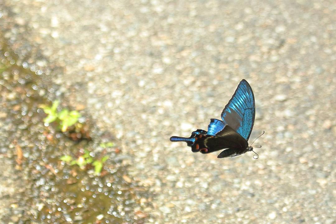 e0403850_14083765.jpg
