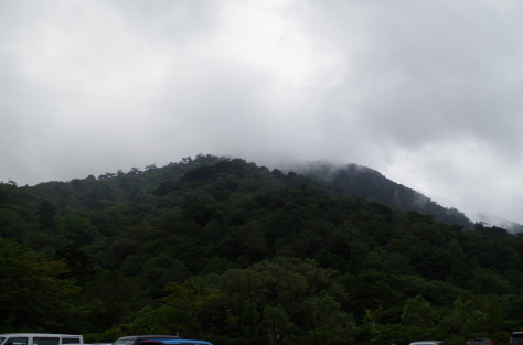 屋久島は今日も雨だった　その３_b0198151_22065501.jpg