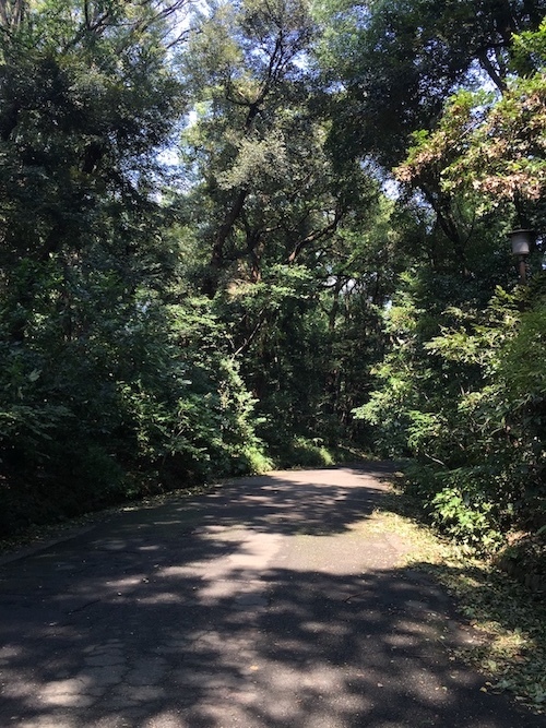 c0113755_18002430.jpg