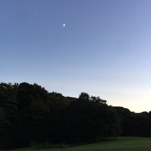 c0113755_18002586.jpg