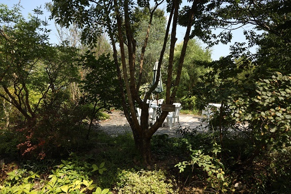 b0328557_21093774.jpg