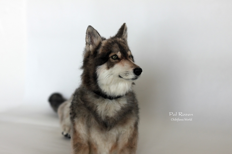 No ウルフドッグ 羊毛フェルト うちのコ オーダー出来ました No ウルフドッグ 羊毛フェルト うちのコ オーダー出来ました