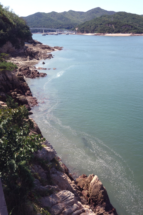 f0117059_20115583.jpg
