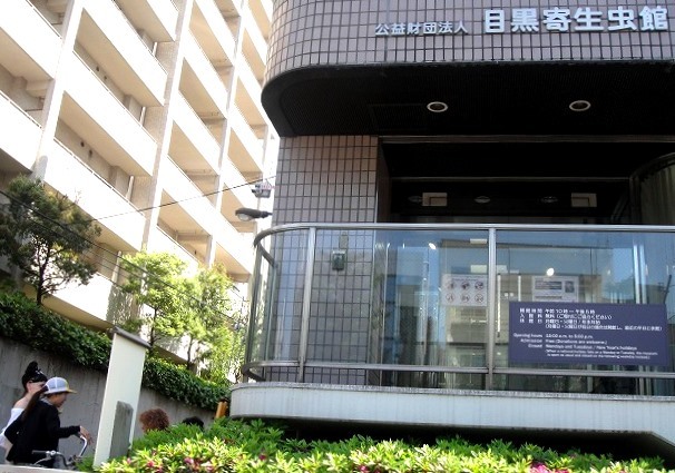 c0119160_19553630.jpg