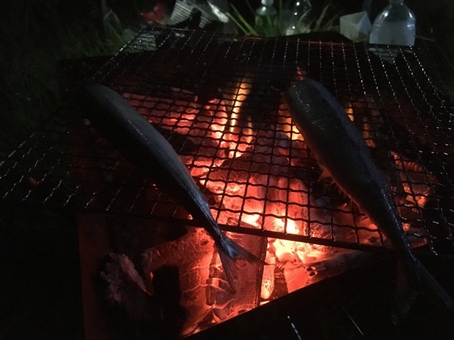 e0187064_20594406.jpeg