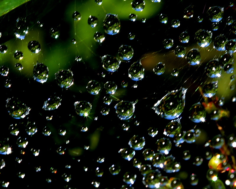 c0305565_17424049.jpg