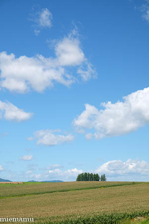 d0340565_19381366.jpg
