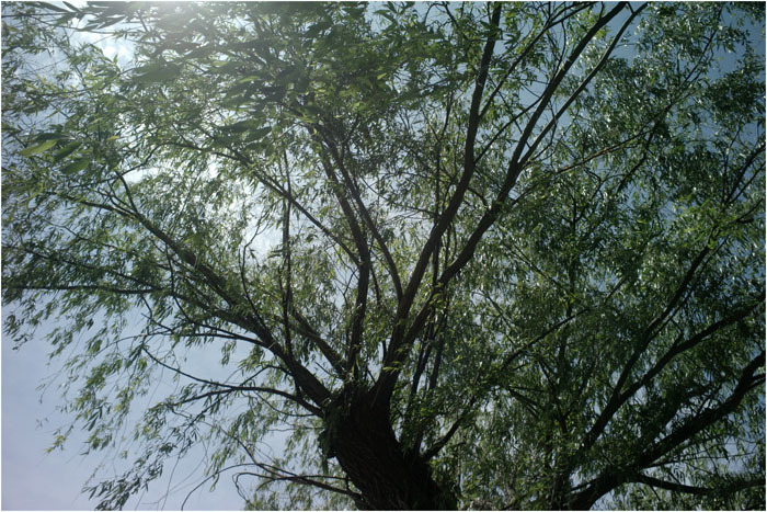c0168172_22101377.jpg