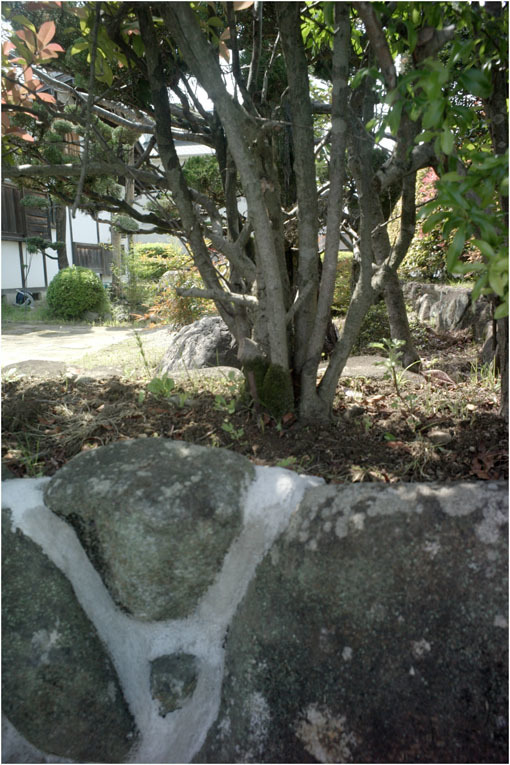 c0168172_22122637.jpg