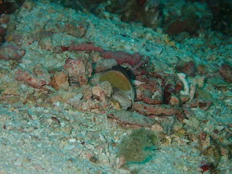 d0363174_22075439.jpg