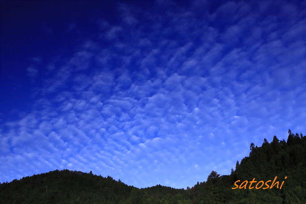 e0350375_06095884.jpg