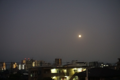 c0169176_07145498.jpg