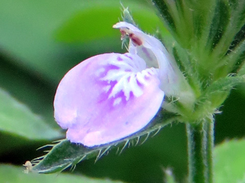 f0083977_06365322.jpg