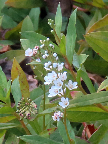 f0083977_06393098.jpg