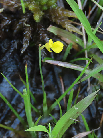 f0083977_06410739.jpg