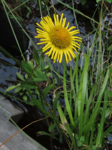 f0083977_06491111.jpg