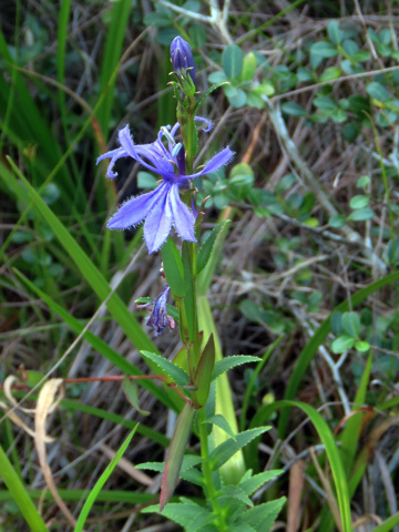 f0083977_06500506.jpg