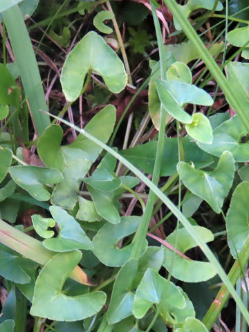 f0083977_06510549.jpg