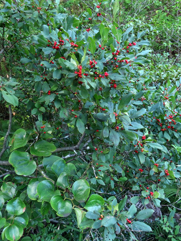 f0083977_06560571.jpg