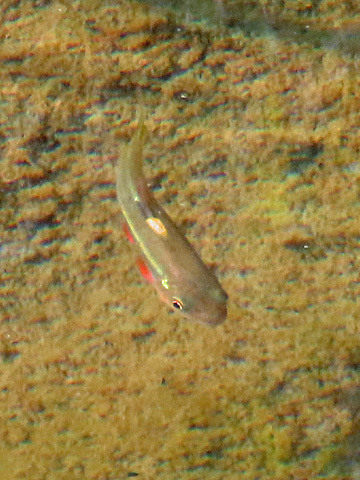 f0083977_06590415.jpg
