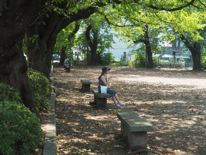 小田急相模原_a0106679_19464170.jpg