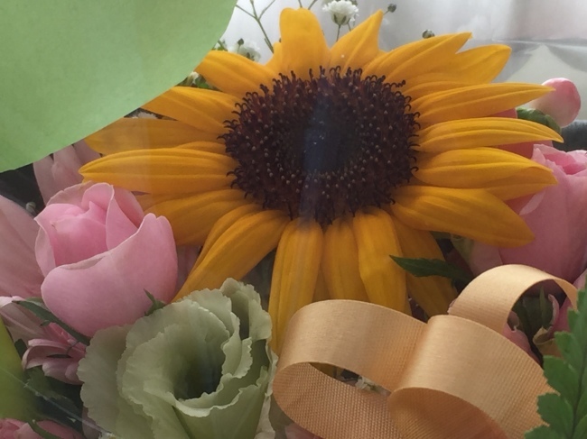 b0163381_07433886.jpeg