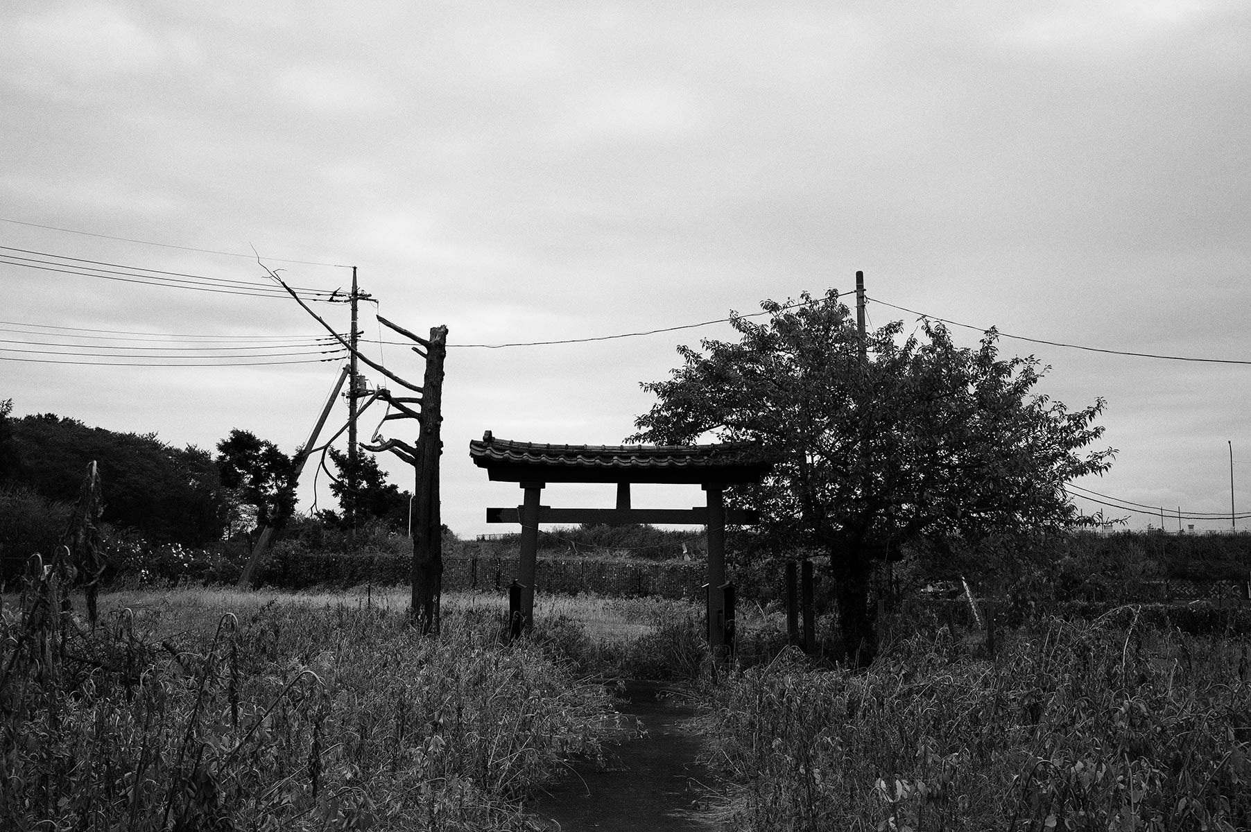f0121181_23451925.jpg