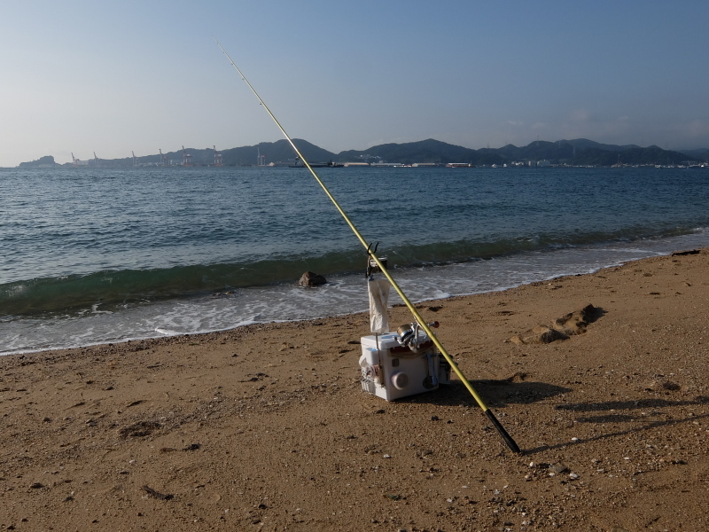 昨日の残り餌で三軒屋海岸を散策です_a0265582_13463407.jpg