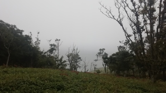 c0212083_17400628.jpg