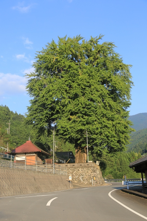c0358784_22595377.jpg