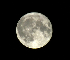 b0192588_802660.jpg