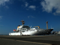 b0192588_804731.jpg