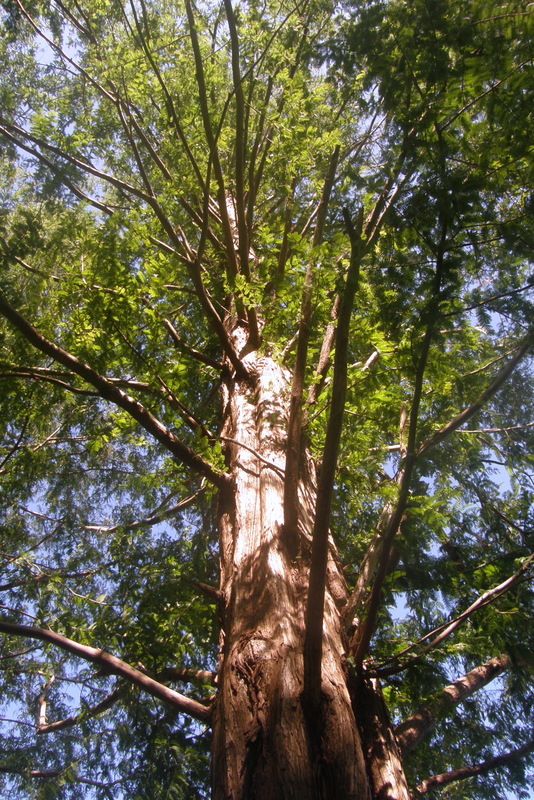 c0057390_18294063.jpg