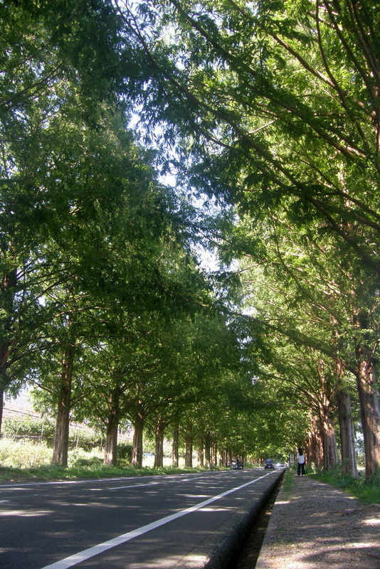 c0057390_18294613.jpg