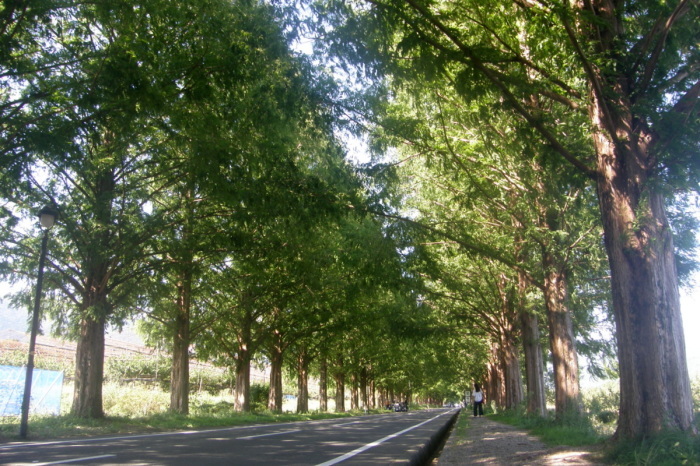 c0057390_18295397.jpg