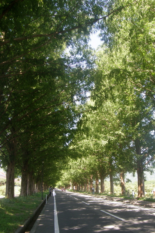 c0057390_18301755.jpg