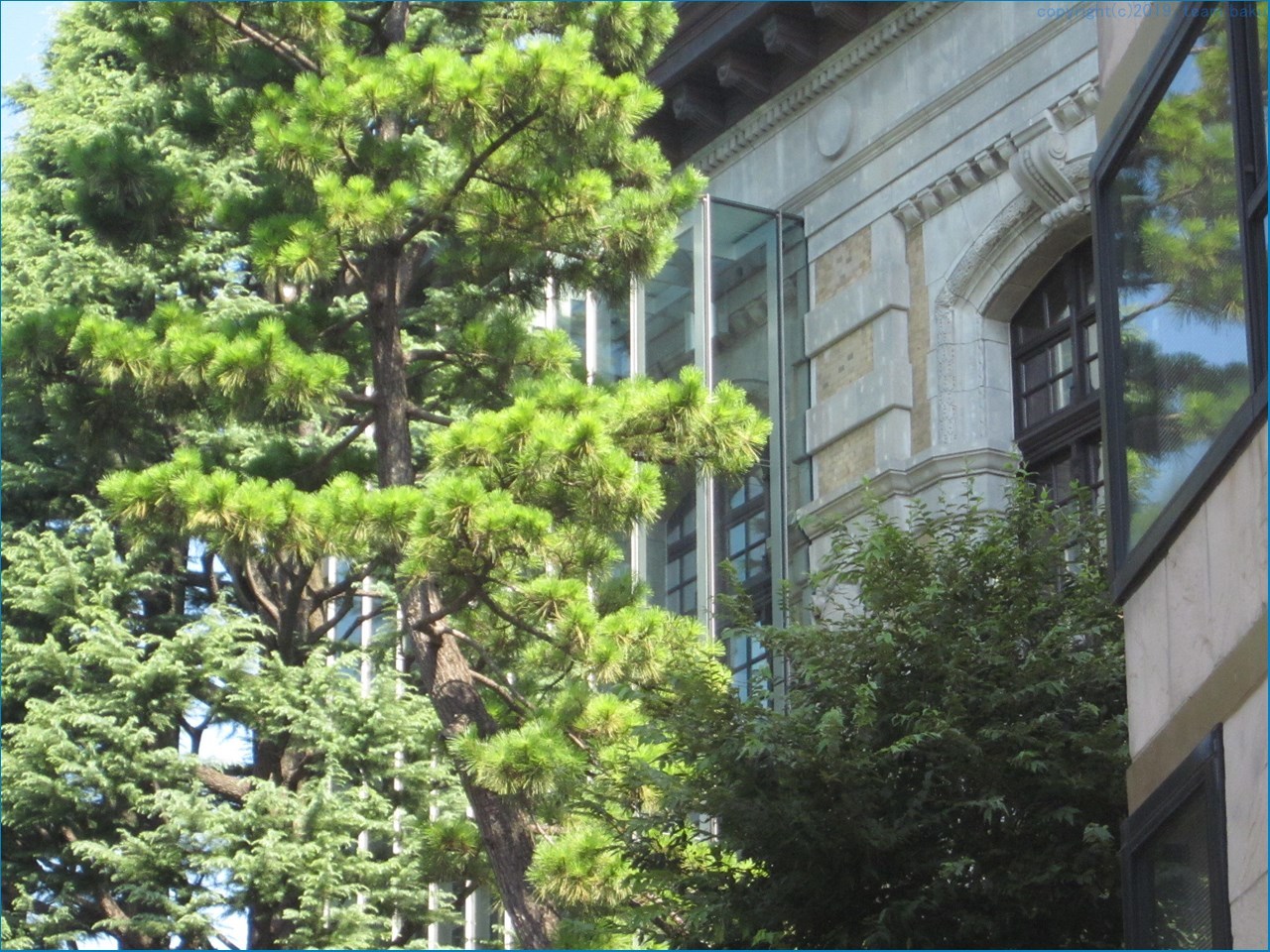 上野公園の近代建築 見学_c0376508_09381489.jpg