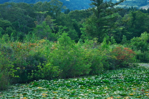 a0263109_09331315.jpg
