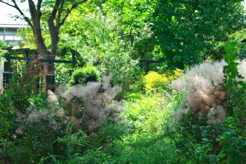 a0263109_20304657.jpg
