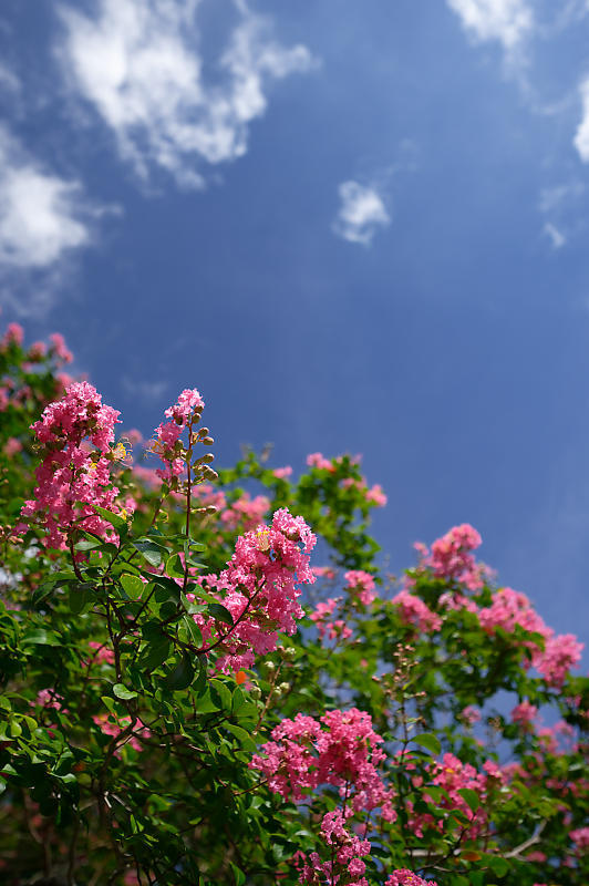 f0032011_08551644.jpg