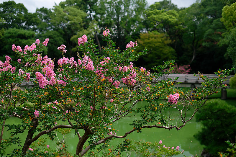 f0032011_08563083.jpg