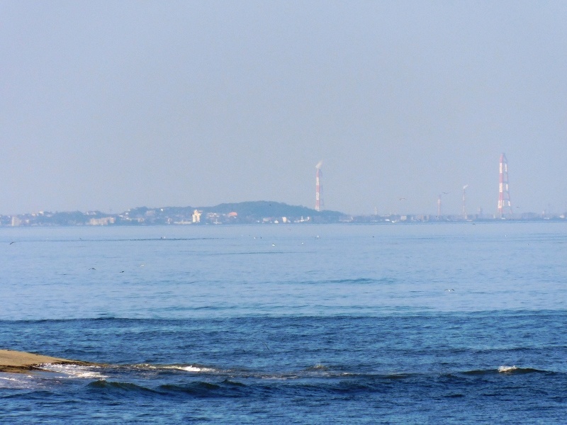 a0030713_20161354.jpg