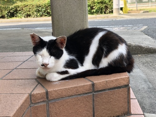 敬老の日_d0184114_17343237.jpeg
