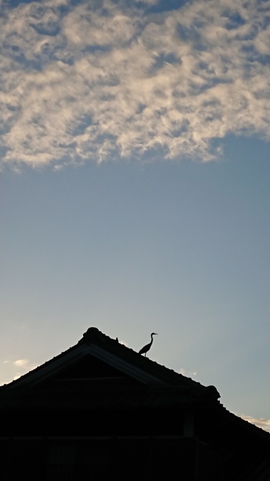 きみは空見てなに想う_b0105515_21133017.jpg