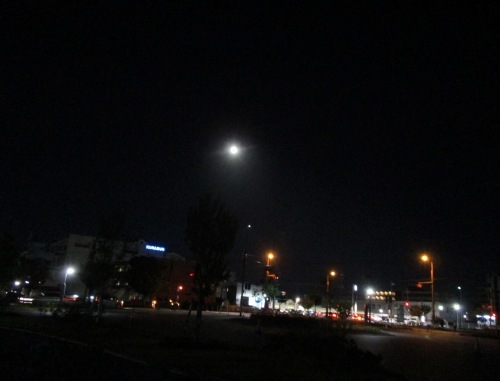 f0158625_15132218.jpg