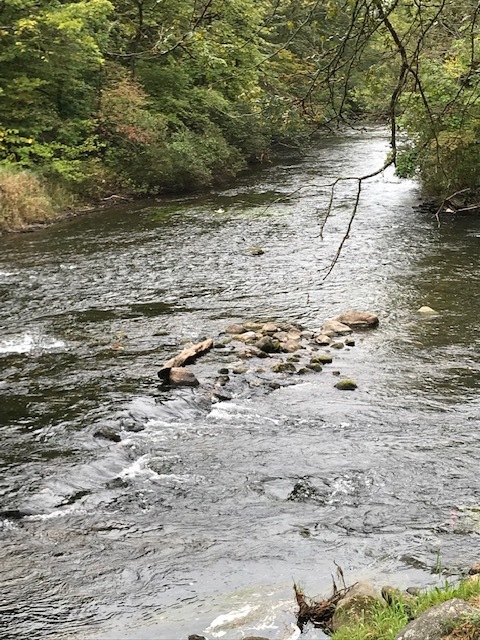 d0269832_20274192.jpeg