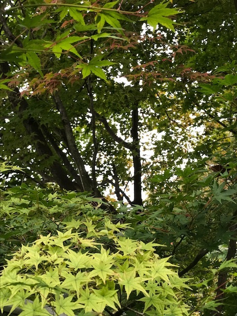 d0269832_20281328.jpeg