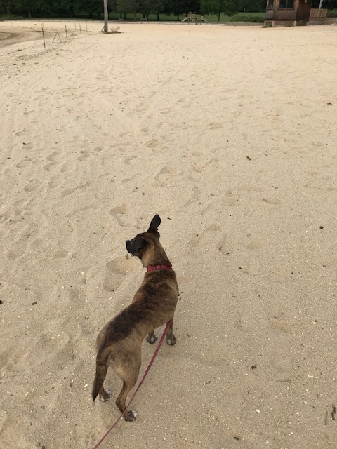 d0269832_20310812.jpeg